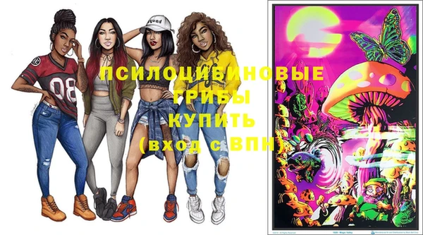 МДПВ Бородино