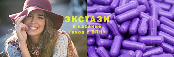МДПВ Бородино