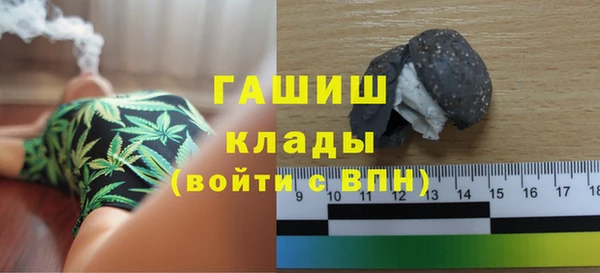 МДПВ Бородино