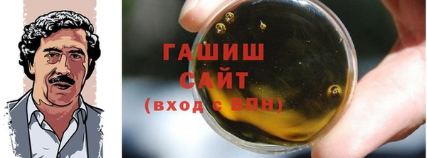 МДПВ Бородино