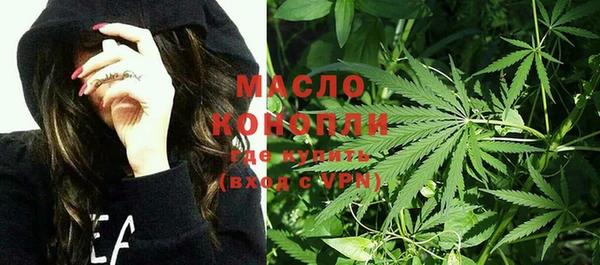 МДПВ Бородино