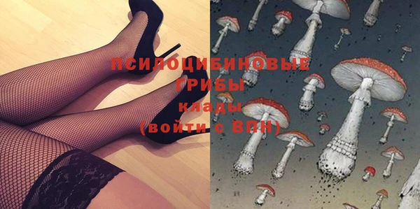 прущие грибы Бугульма