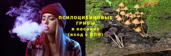 таблы Верхний Тагил